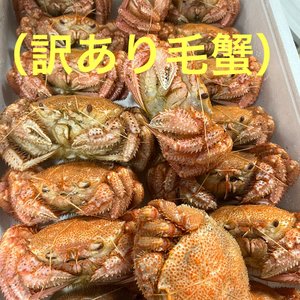 【条件付き】　毛蟹　訳あり　詰め合わせ1kg