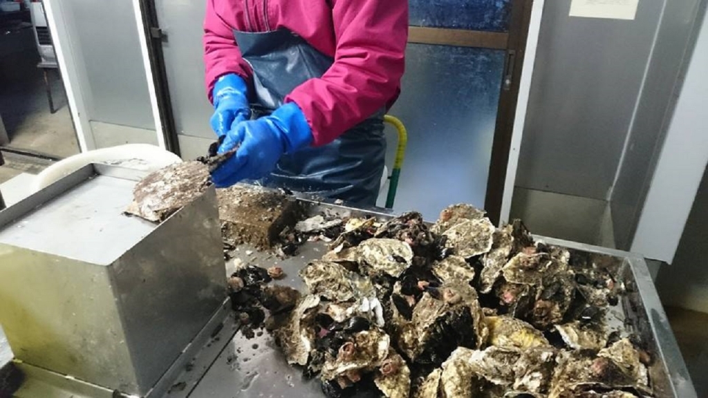 12705443_885081651589042_6181356360296422720_n