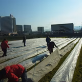 加藤秀樹 | 泉佐野アグリカレッジ