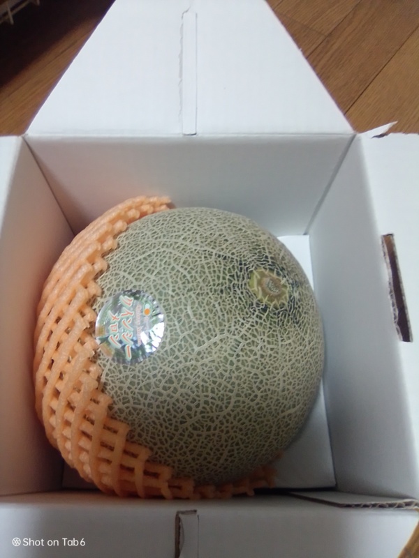 茨城県鉾田市|(株)山一ファーム|石田和徳さんの生産者プロフィール|ポケットマルシェ|産直(産地直送)通販 旬の果物・野菜・魚介をお取り寄せ 鉾田市 山一ファーム石田和徳さん クインシーメロン 4L・1個 配送無料 果物 ギフト 産直ギフト メロン 手土産 茨城 鉾田市 クインシー 赤肉 大きい 豪華 ヤマイチ 山一 山一ファーム 石田 石田さんメロンづくり40年