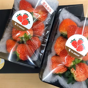 四日市産イチゴ（2パック）