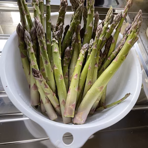 アスパラガス