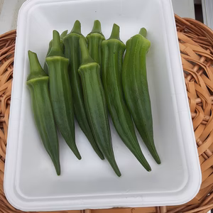 かまちゃん農園の「夏野菜Ａセット」❣おまけ付き