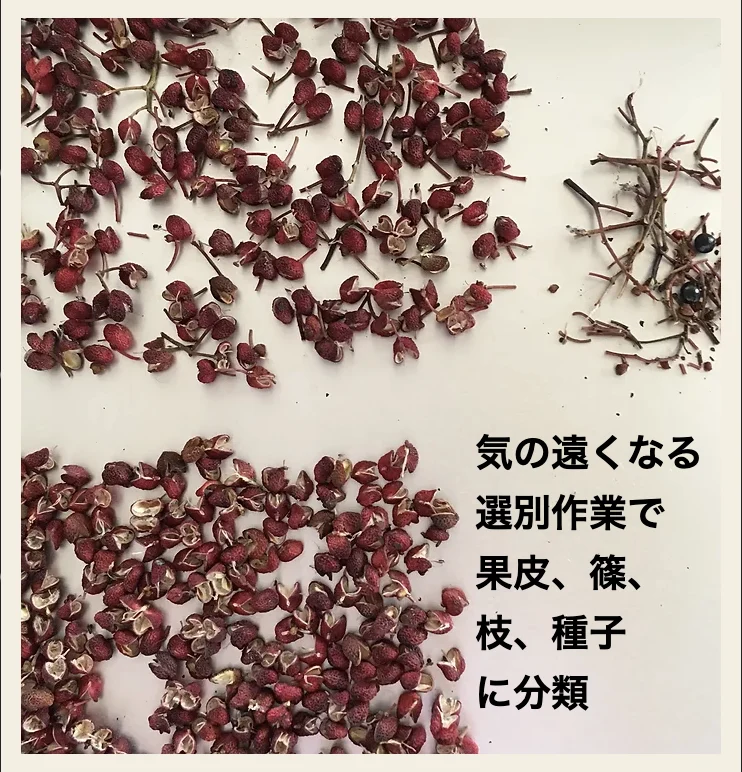 　京都　美山産　究極の完熟赤山椒⭐️美山のルビー⭐️ 詰替３個セット