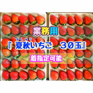 【30玉/着指定可能】青森県下北産　夏秋いちご「すずあかね/赤い妖精」【業務用】