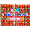 【30玉/着指定可能】青森県下北産　夏秋いちご「すずあかね/赤い妖精」【業務用】