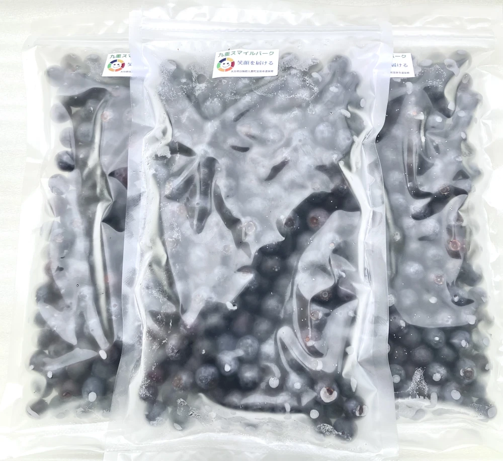 朝摘みブルーベリー（冷凍350g×３パック）農薬不使用