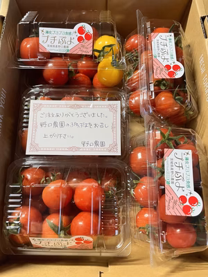 みんなの投稿の画像