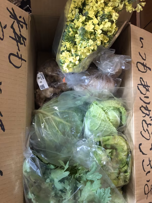 みんなの投稿の画像