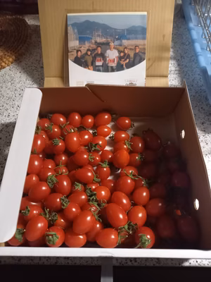 みんなの投稿の画像