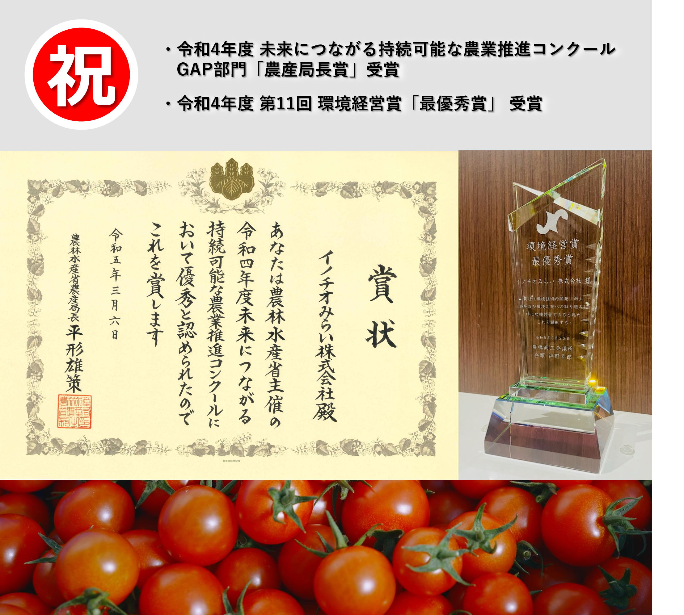 ❤️ミニトマトアイコ❤️ ㎏ - 2