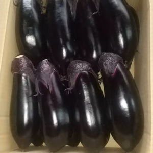 あのみのり【16個入り】