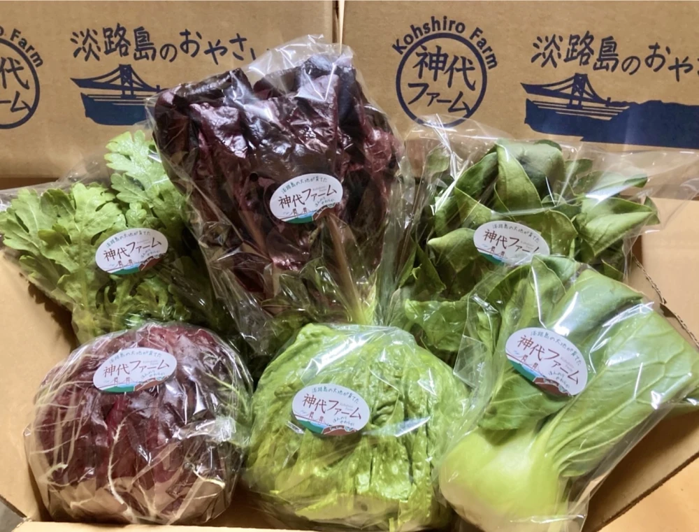 淡路島の野菜のセット