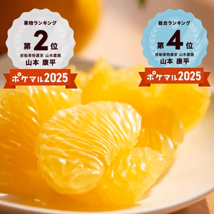 八朔 つぶつぶさわやか！和歌山産２月中旬～３月中旬発送