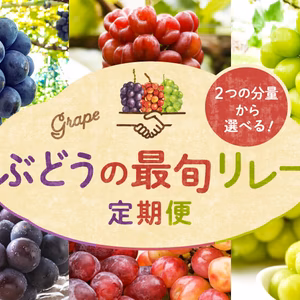ぶどうを味わう3ヶ月『ぶどうの最旬リレー定期便』