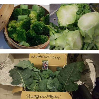 みんなの投稿の画像