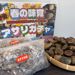 【第3弾！春の味覚 アサリガチャ】絶対に損はさせません！お得にアサリをゲット！
