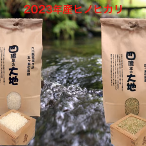 新米！ヒノヒカリ白米5㎏+玄米5㎏　2024年度