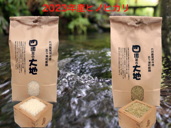 新米！ヒノヒカリ白米5㎏+玄米5㎏　2024年度