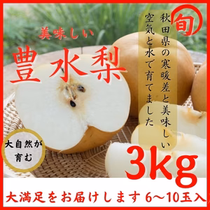 【訳あり梨】甘さと瑞々しさあふれる旬の梨 8玉〜11玉入り