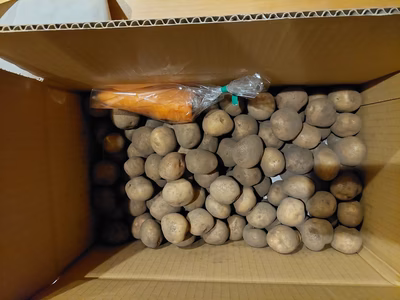 みんなの投稿の画像