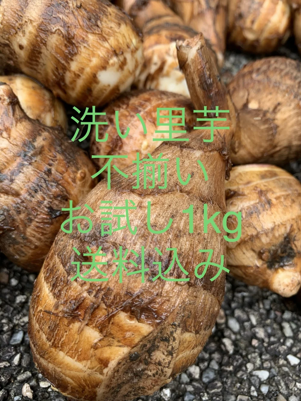 掘り立てをお届け❗️不揃い1キロ  都道府県別　送料込❗️ とろっとろ　洗い里芋