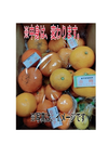 レア品付）ちょっと訳あり‼️2月から食べる柑橘❢5種春爛漫よくばりセット