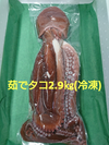 小樽産 茹でタコ  2.9㎏(冷凍)