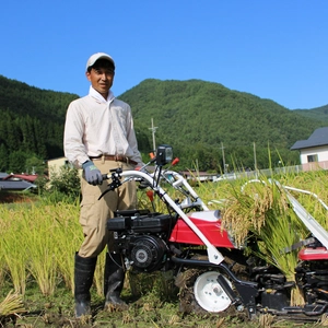自然栽培米ミルキークイーン　令和５年産　もっちもっちのツヤツヤのお米