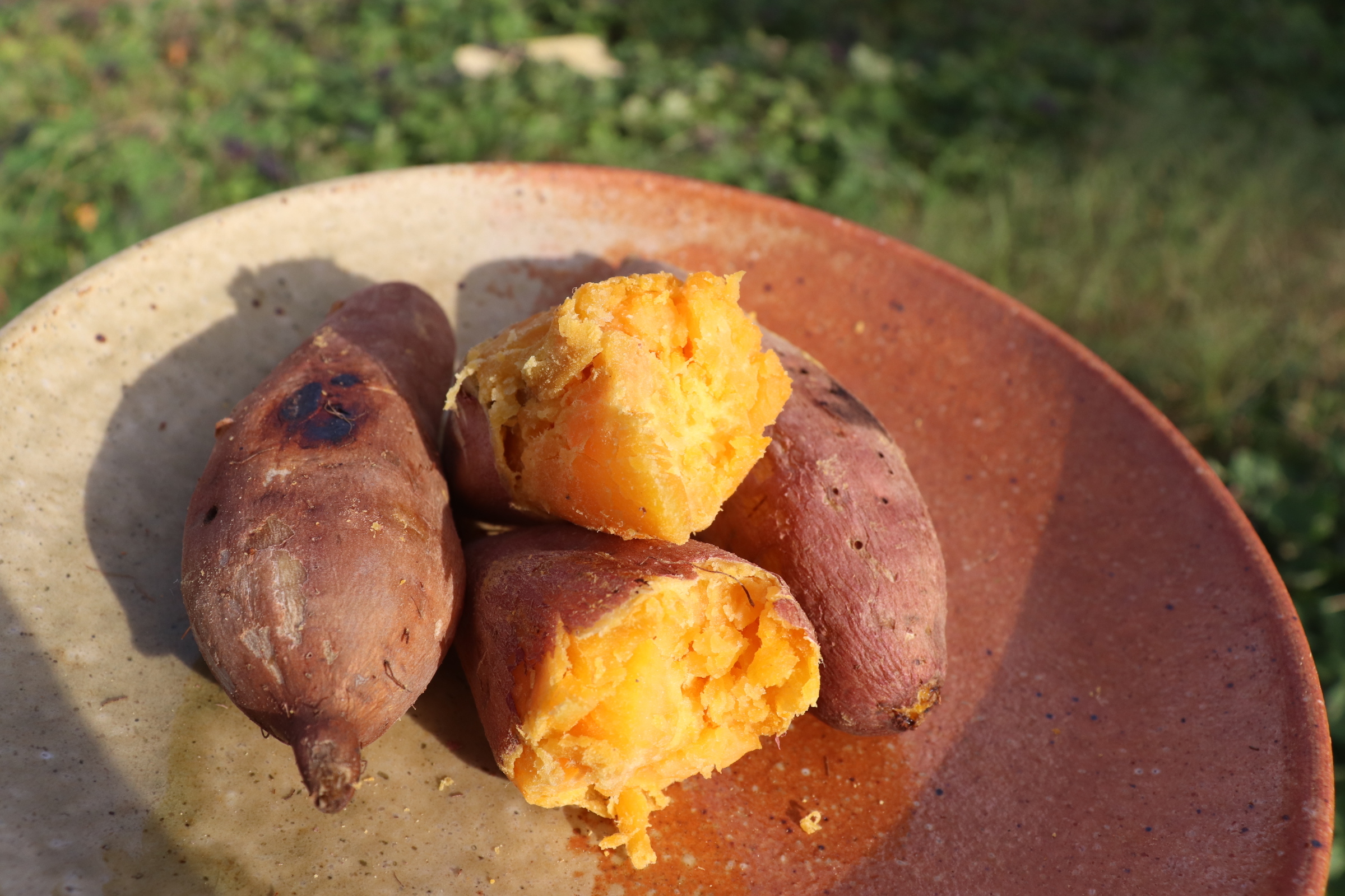 安納芋・農薬不使用 5kg