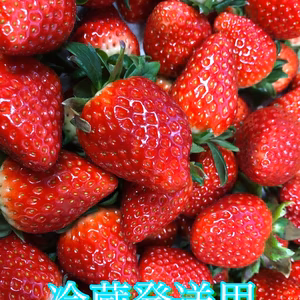 値下げ‼️奈良県ブランドいちご　古都華