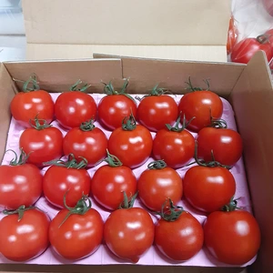 おー様限定宮島農園のフルーツトマト60玉3kg+パプリカ1.5kg