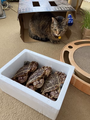 みんなの投稿の画像