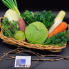 ２月のオーガニック野菜（Ⅿセット）常温