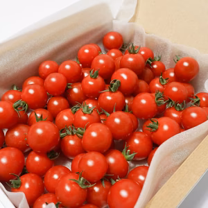 お試し！糖度8〜11度！ 濃甘フルーツトマト「太陽のたまもの」1kg