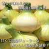 肉厚ジューシー♪大きな淡路島新玉ねぎ（３Lサイズ）　１０ｋｇ
