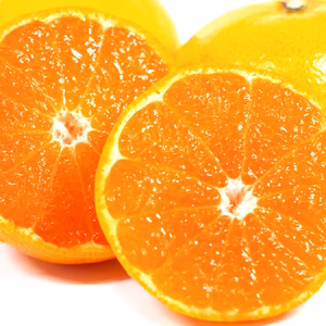 2021年11月下旬発送予約【部分光センサー糖度計測】濃厚感動みかん