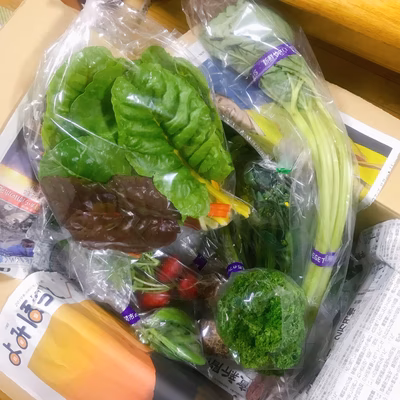 みんなの投稿の画像