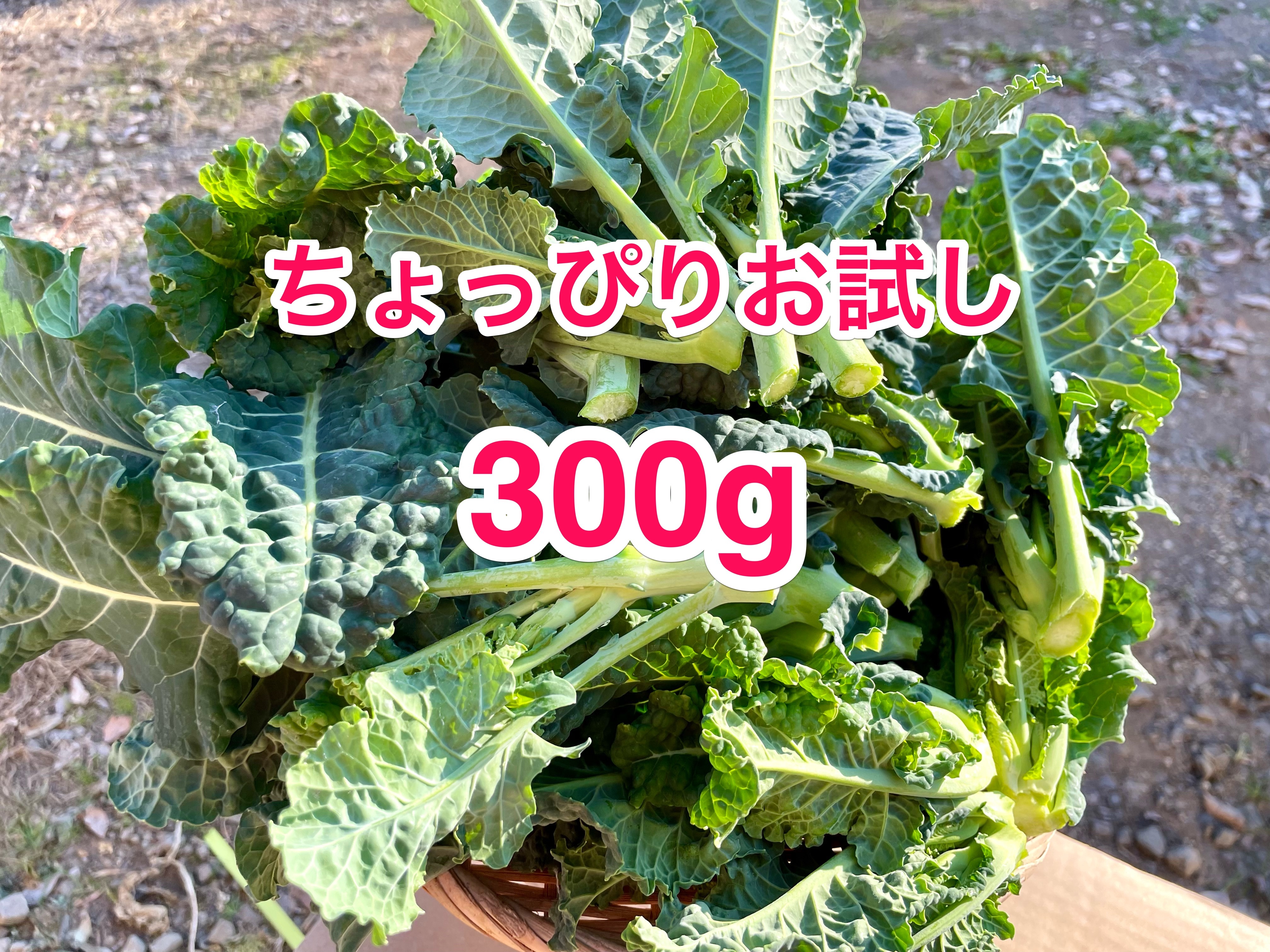 アレッタ 野菜 300g - 野菜