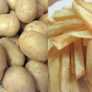 フライドポテトが絶品！！　岡山県・鏡野町産【十勝こがね】3kg/6kg/9kg