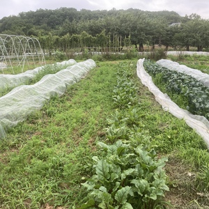 山梨県韮崎市から送る旬の野菜セット