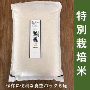 令和2年産　特別栽培米「駒義 」真空パックでお届け （玄米）