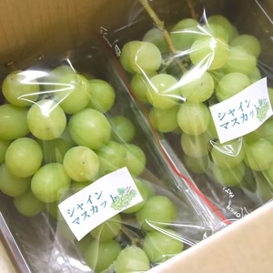 【倍量1㎏×2箱】毎年大人気のご家庭用シャインマスカット