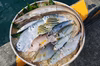 下処理⇒即日発送！ロコフィッシュ鮮魚ボックス【エコ包装】
