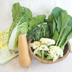 非日常を味わってみませんか？ミニ野菜セット
