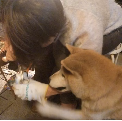 みんなの投稿の画像