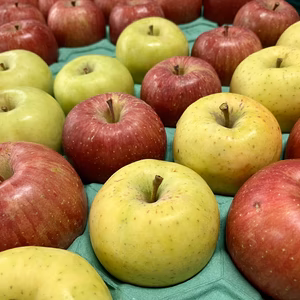 おまかせ4品種ミックス【訳あり・家庭用】5キロ