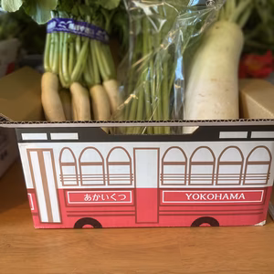 鈴木清友農園　野菜詰め合わせ　60