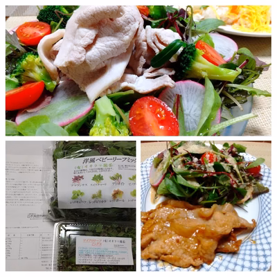 みんなの投稿の画像