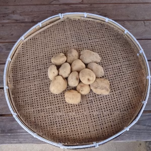自然栽培　男爵いも　箱込　2ｋｇ